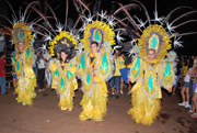 Carnaval de rua de Iep 2010.