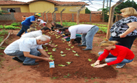 Crianas plantam hortalias